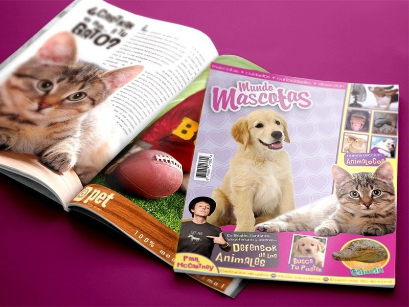 magazine cover design image 1